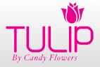 Tulip